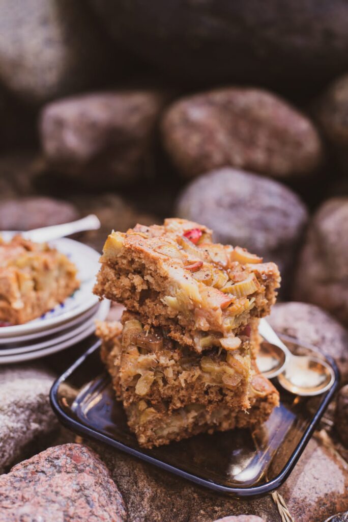 Kadi lemmik rabarberikook